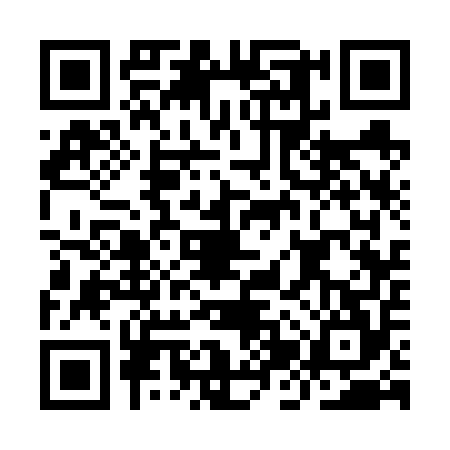 QR code for IJS6541