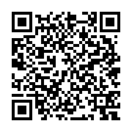 QR code for IJU6313
