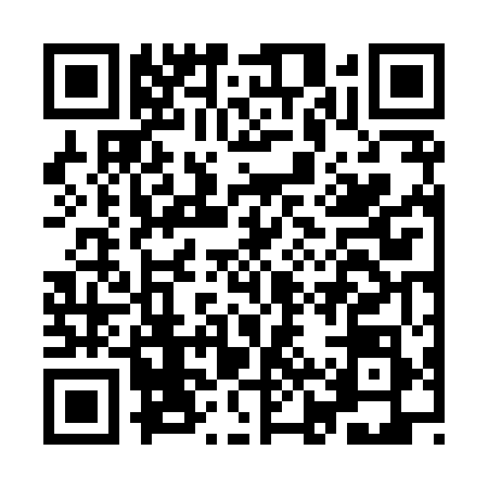 QR code for IJV8583