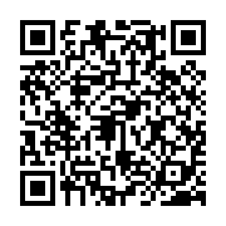QR code for ILA0994