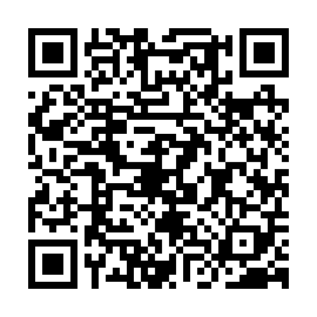 QR code for ILY2095