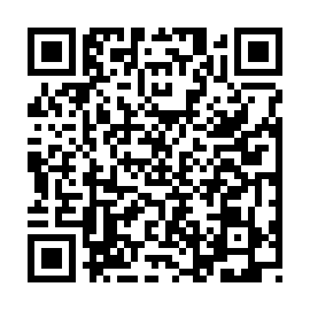QR code for INF3795