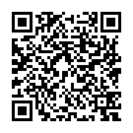 QR code for INH9397
