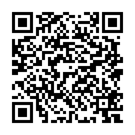 QR code for INI4094