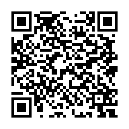 QR code for INI4268