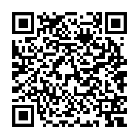QR code for INN2207
