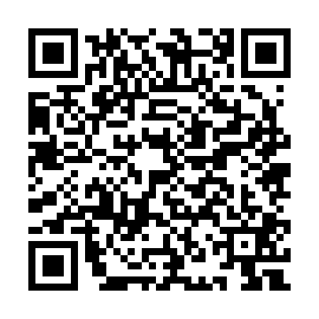 QR code for INZ2010