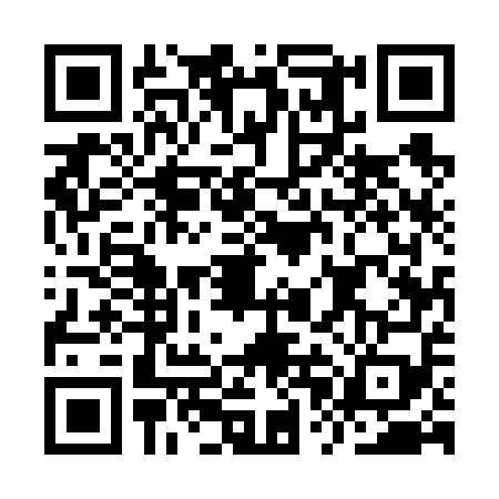 QR code for IPE6593