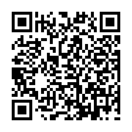 QR code for IPN2311