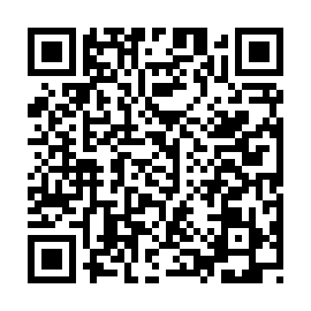 QR code for IQU8991