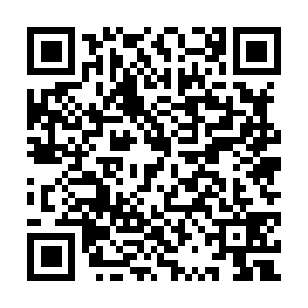 QR code for IRE8393
