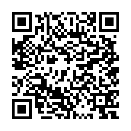 QR code for IRG4729