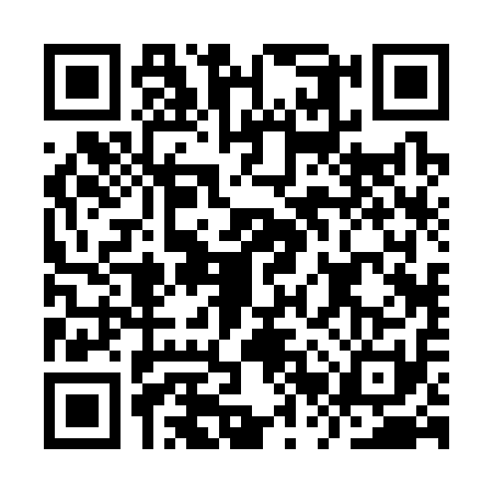 QR code for IRR3119