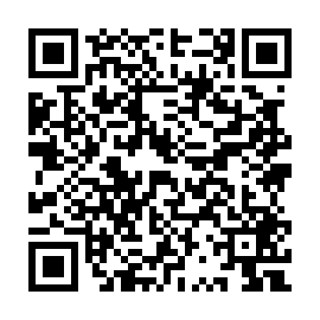 QR code for IRY0498