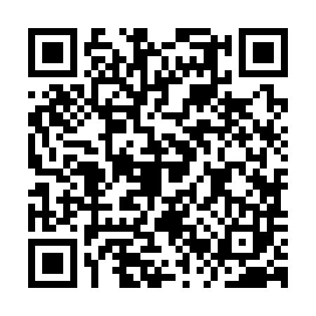 QR code for IRZ3833