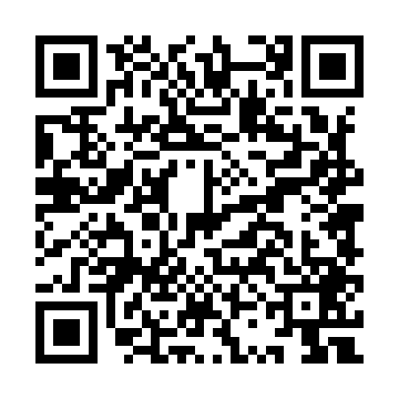 QR code for ISD9493