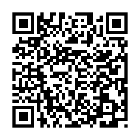 QR code for IUA9931