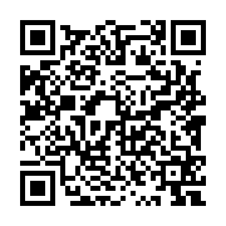 QR code for IYL1647