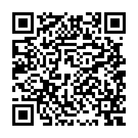 QR code for IZB0979