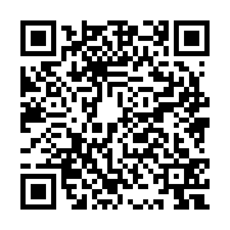 QR code for IZH2334