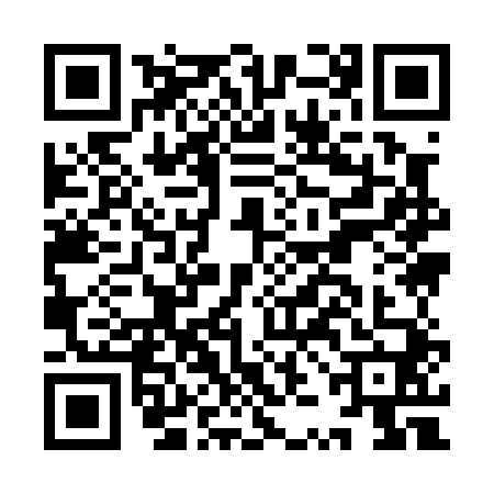 QR code for IZI0401