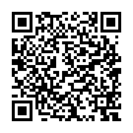 QR code for IZP3997