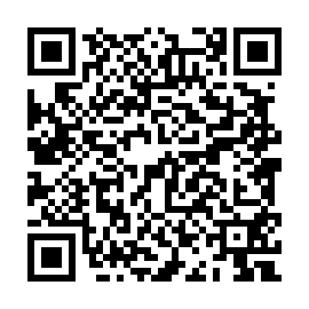 QR code for JAL4508