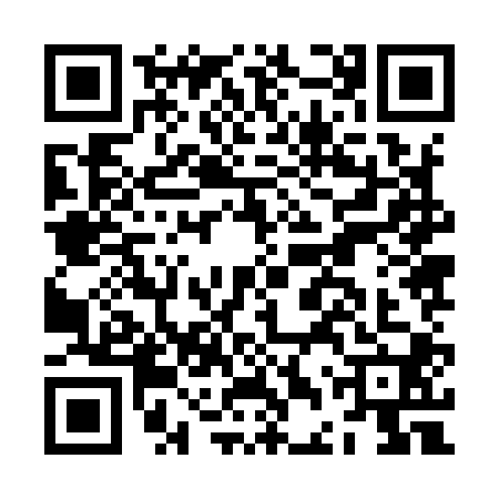 QR code for JDZ9009