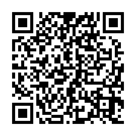 QR code for JYV9336