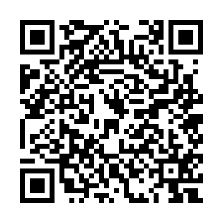 QR code for LAG3155