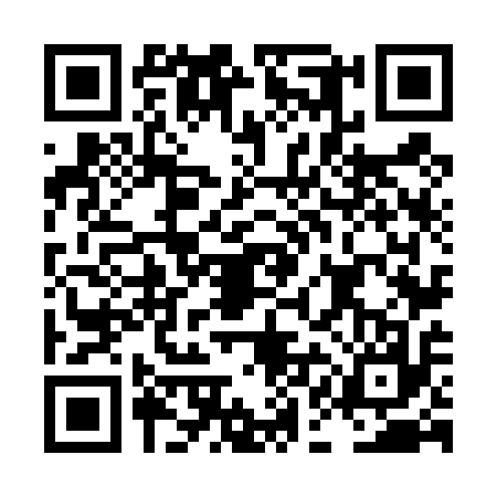 QR code for LAN4171