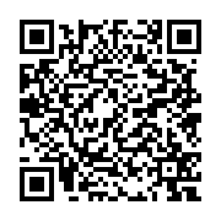 QR code for LAP5373