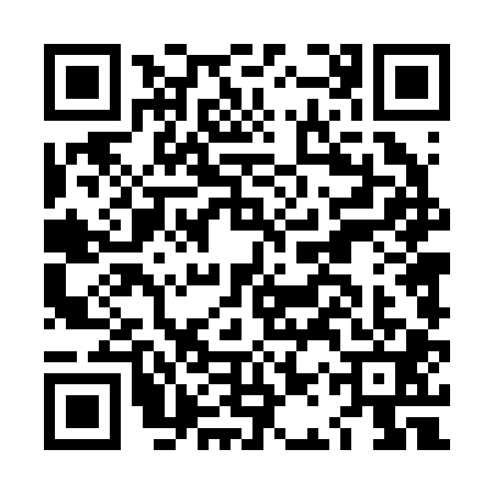 QR code for LAT2013