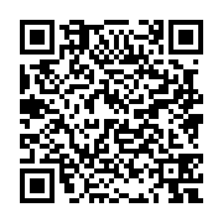 QR code for LAX0384