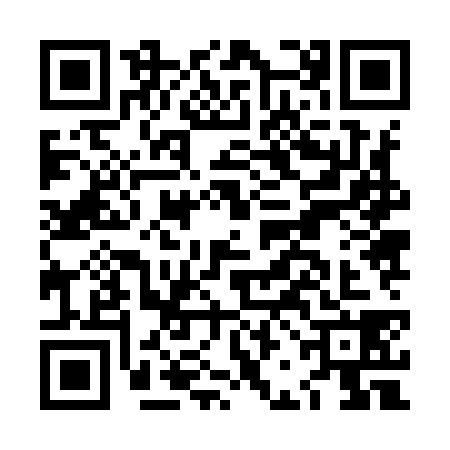 QR code for LBJ9385