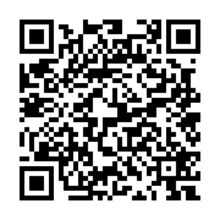 QR code for LDG0294