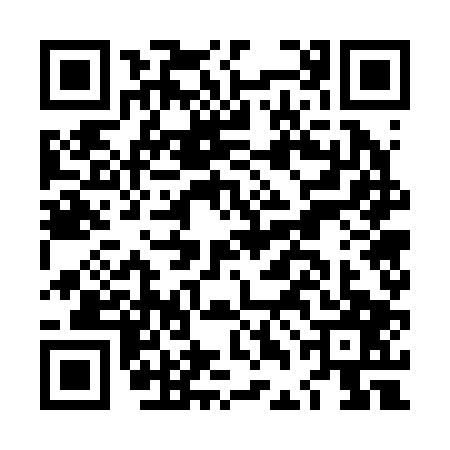 QR code for LDG2077