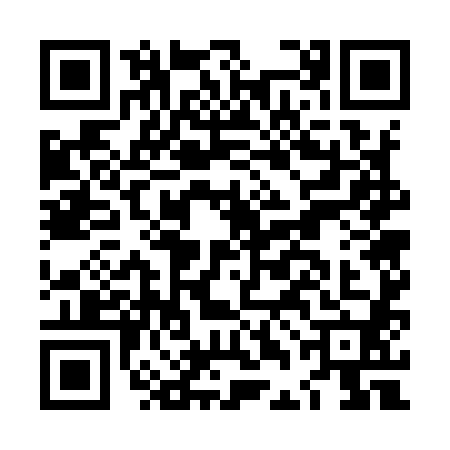 QR code for LDG9809