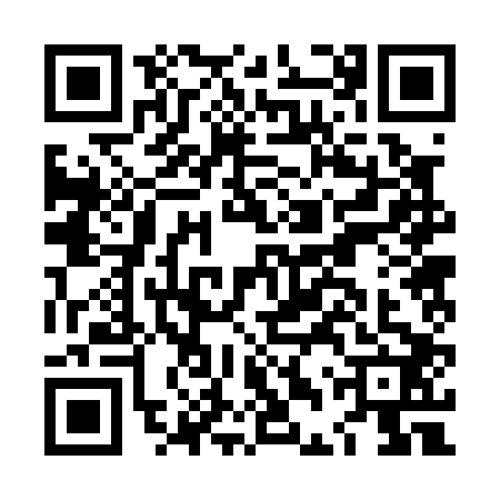 QR code for LDR0029