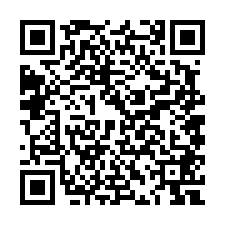 QR code for LDV4481