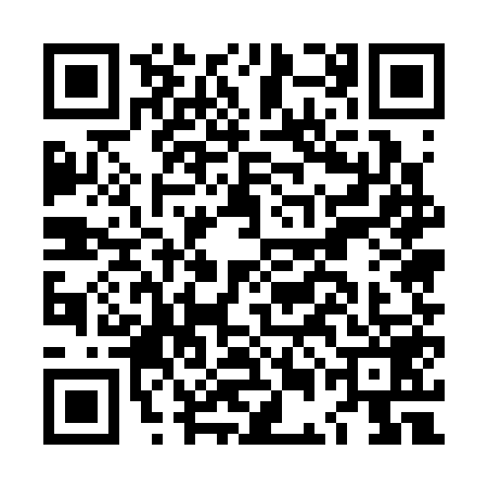 QR code for LEE3597