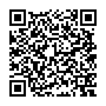 QR code for LES4729