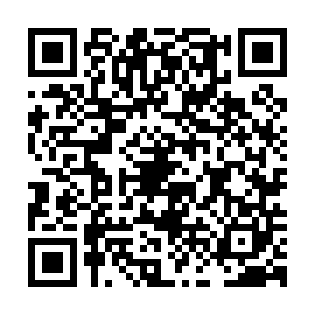QR code for LFN0400