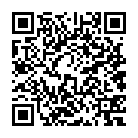 QR code for LFV1306