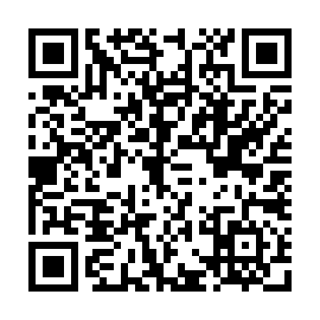 QR code for LGG2941