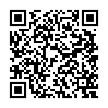 QR code for LHP4173