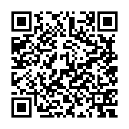 QR code for LIG8713