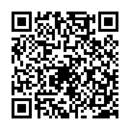 QR code for LIR0728