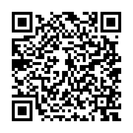 QR code for LIZ0417