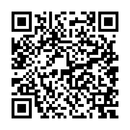 QR code for LJN1006